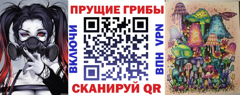 blacksprut ONION Заполярный Галлюциногенные грибы Cubensis